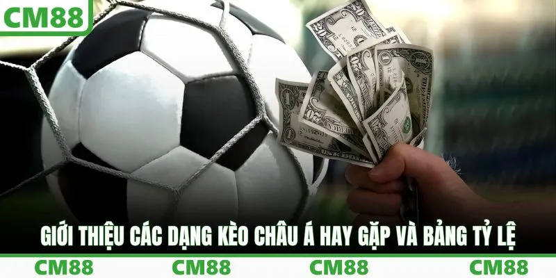 Giới thiệu các dạng kèo châu Á hay gặp và bảng tỷ lệ