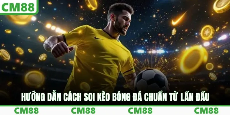 Hướng dẫn cách soi kèo bóng đá chuẩn từ lần đầu